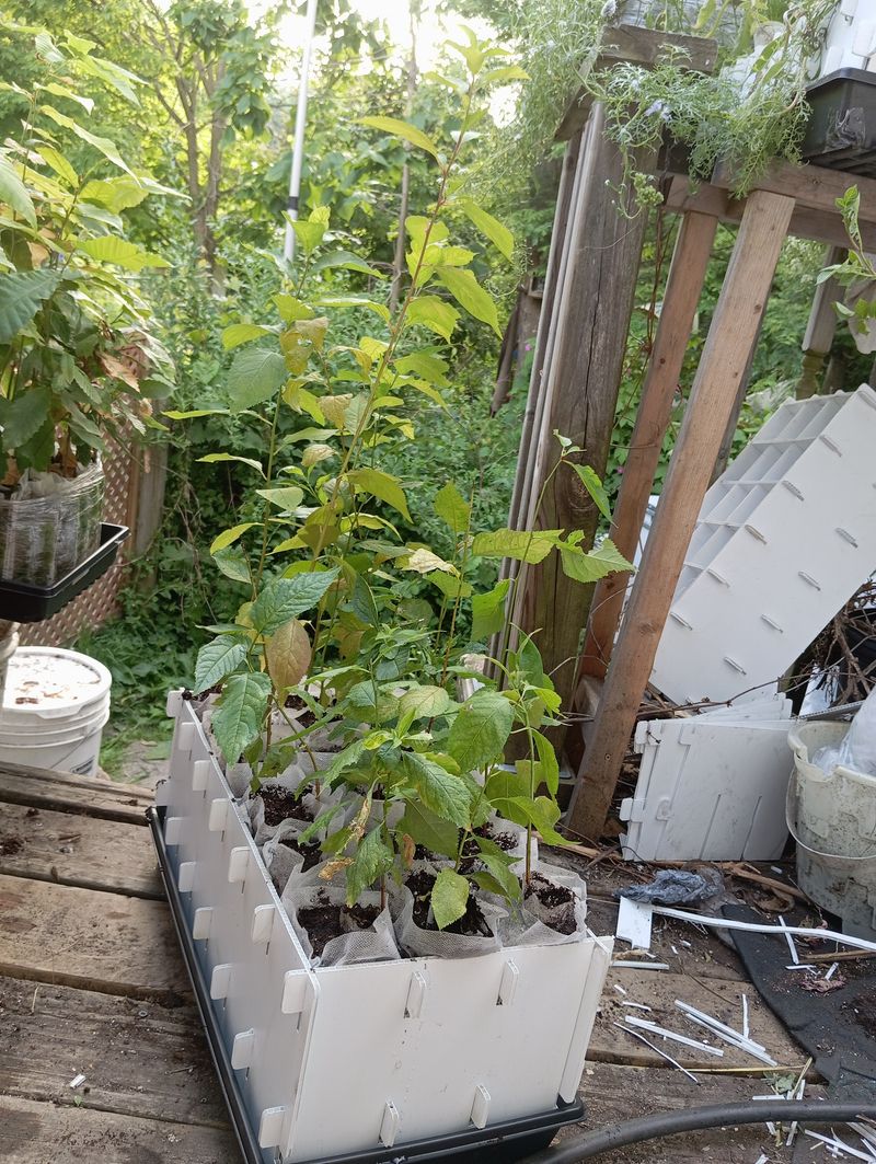 Recent Blog Image